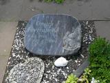 image of grave number 458840